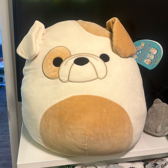 Brock the Bulldog Squishmallow - Picture 1 of 2